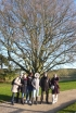 At a majestic tree by Castle Rising At a majestic tree by Castle Rising