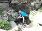 žabák na prameni žabák na prameni