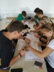 Výuka v programu Erasmus Výuka v programu Erasmus